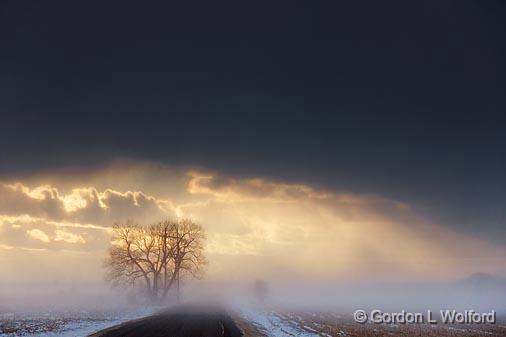 Snow Squall_13338.jpg - Photographed at Ottawa, Ontario - the capital of Canada.